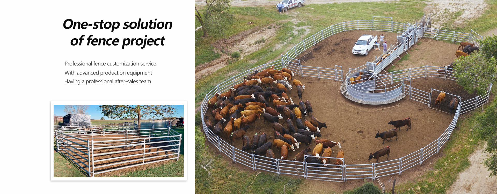 quality Cattle Panel Fence factory