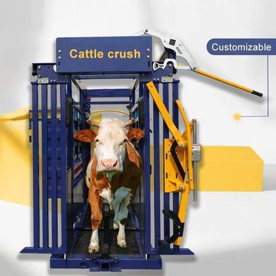 Hot DIP Galvanized Scale Cattle Handling Equipment Cattle Resists Corrosion