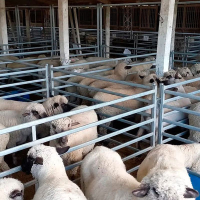 Height 1m Ranch Sheep Panel Fence For Farm Using And Sheep Raising