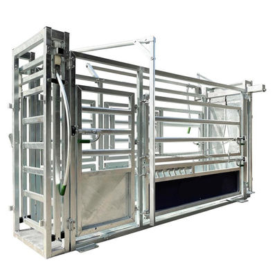40*40mm*1.6mm Frame Cattle Crush Galvanized Steel Heavy Duty