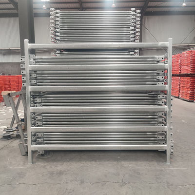Hot Dipped Galvanized Steel Farm Fencing for Livestock