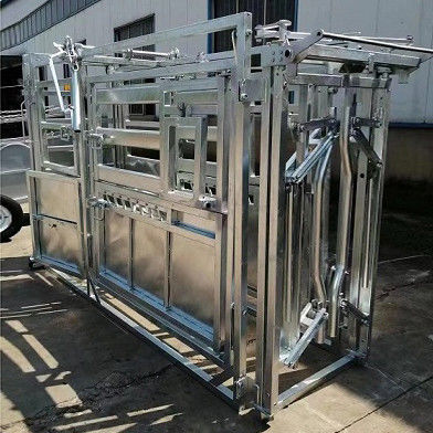 Customized Galvanized Steel Heave Duty Cattle Crush Easy Assembly