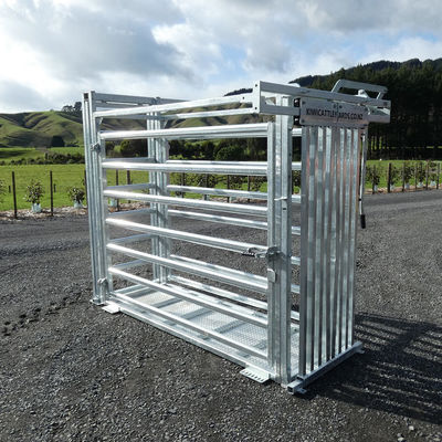 Customized Galvanized Steel Heave Duty Cattle Crush Easy Assembly