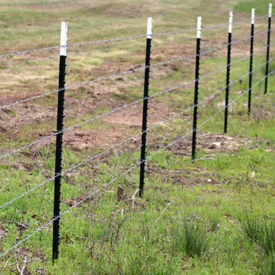 6 Ft 6.5 Ft 8 Ft Metal T Post For Fence Canada 10 Ft Studded T Post