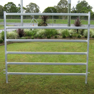 Farm1.8m Square Tube Cattle Panel Fence Galvanized Customized