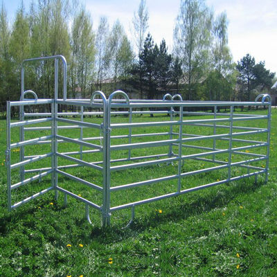 Farm1.8m Square Tube Cattle Panel Fence Galvanized Customized