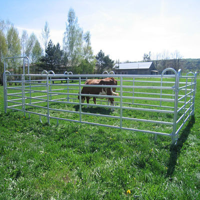 Farm1.8m Square Tube Cattle Panel Fence Galvanized Customized