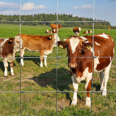 Customized Iron Wire Cattle Fence One Stop Solution For Fence Project