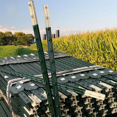 Heavy Duty Hot Galvanized T Posts 6.5 Ft 200pcs/Pallet Free Sample