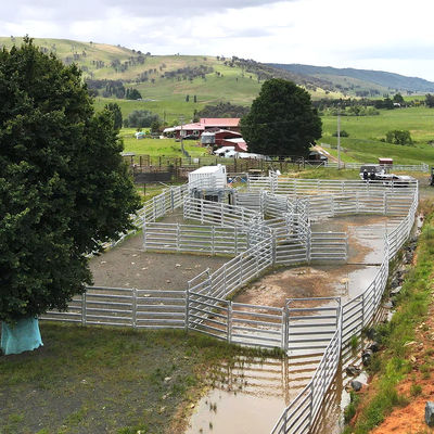 Hot Dipped Galvanized Farm Fencing Resists Corrosion Cattle Panel