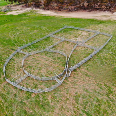 30X60mm Oval Rail Tube Durable Sheep And Goat Panels Metal Farm Fencing