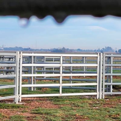 Length 2.1m Heavy Duty Sheep Livestock Panels Round Tube Square Tube Oval Tube