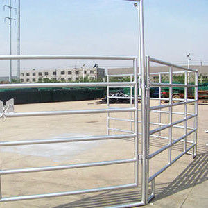 1.4m Height Round Tube Horse Panel Fence For Livestock Farm Stock Panels For Sale
