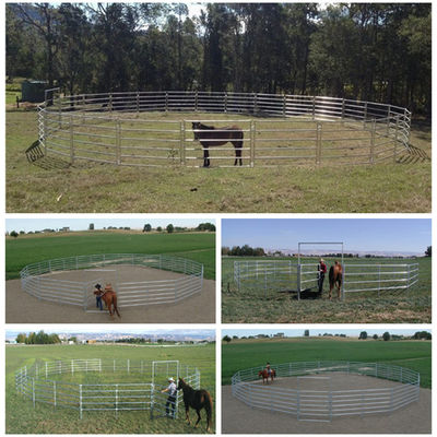 Hot Dipped Galvanized Livestock Fence Panels Easily Assembled 5 Rail Horse Panels