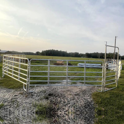 Length 2.1m Height 1.8m Galvanized Livestock Panels For Horse Fence 6 Rails