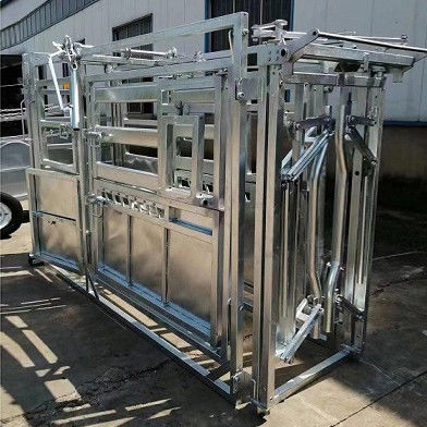 32mm Frame Stability Cattle Crushes Cattle Farm Equipment Easy To Clean