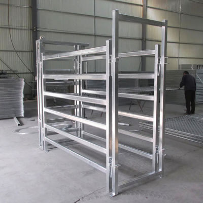 32mm Frame Stability Cattle Crushes Cattle Farm Equipment Easy To Clean