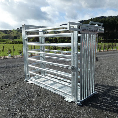 Rectangle Heavy Duty Cattle Crush PVC Coated+Powder Coated