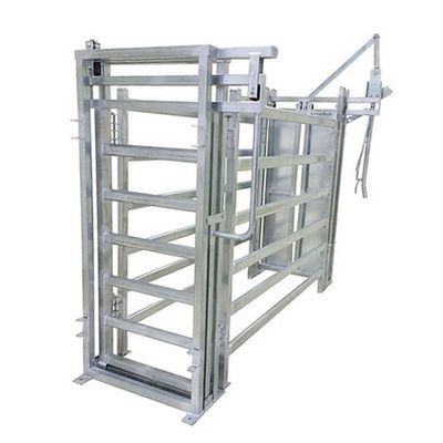 Hot DIP Galvanized Cattle Yard Crush Headbail Stability And Security