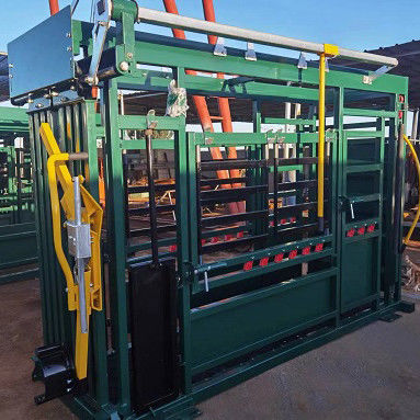 Powder Coated Heavy Duty Cattle Crush Rectangle With Weighing Versatile