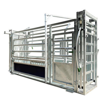 Hot DIP Galvanized Scale Cattle Handling Equipment Cattle Resists Corrosion