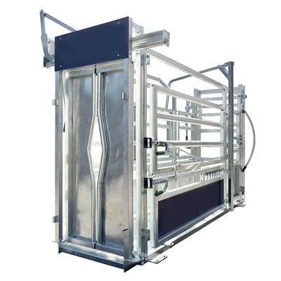 Hot DIP Galvanized Scale Cattle Handling Equipment Cattle Resists Corrosion