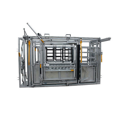 With Weighing Scale Heavy Duty Cattle Crush Panel With Controlling The Cows Body
