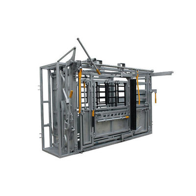 With Weighing Scale Heavy Duty Cattle Crush Panel With Controlling The Cows Body