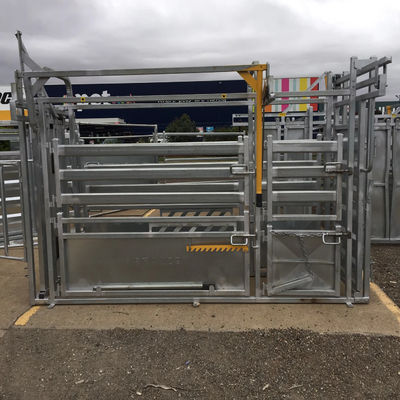 2.7m Height 3.5m Width Cattle Crushes Set Ranches And Farms