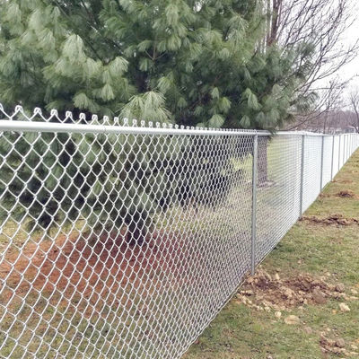 2.4m 3m Height 10m 20m Roll Chain Link Fence With Post Powder Coated