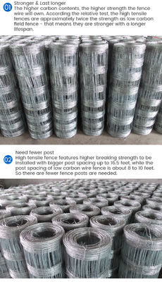0.8 X 0.8 Inch 3d Welded Wire Mesh Fence Hot Dippped Galvanized