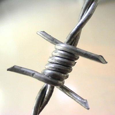 Steel Wire Material Razor Barbed Wire Durable  Single Strand Double Twisted