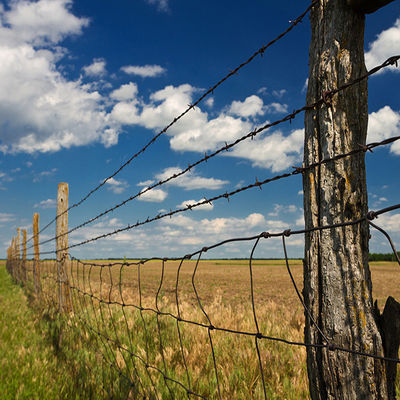 Shiny Appearance Extremely Sharp Barbed Wire Fence For Farm Forest