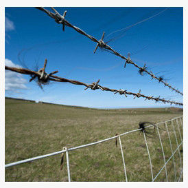 Neat And Bright Razor Barbed Wire Designs Good Anti Theft Performance