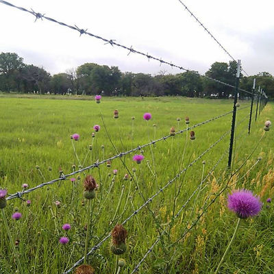 Reliable Quality Barbed Wire Chain Link Fence Galvanized Surface Treatment