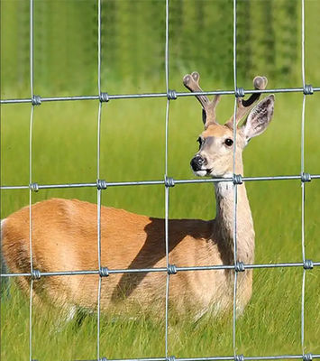1.2m Width Galvanized Cattle Fence Farm Easy To Install Hinge Joint Fencing