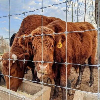 1.2m Width Galvanized Cattle Fence Farm Easy To Install Hinge Joint Fencing