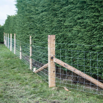 Height 900mm Hinge Joint Fence Zinc Coated For Farm Fence