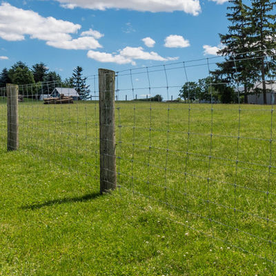 Heavy Galvanized Sheep Wire Mesh Fence Thick Wire Diameter Hinge Joint Sheep & Goat Fence