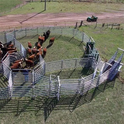 Heavy Duty Cattle Panel Fence 30x60mm 40x80mm 115x42mm Livestock Fencing