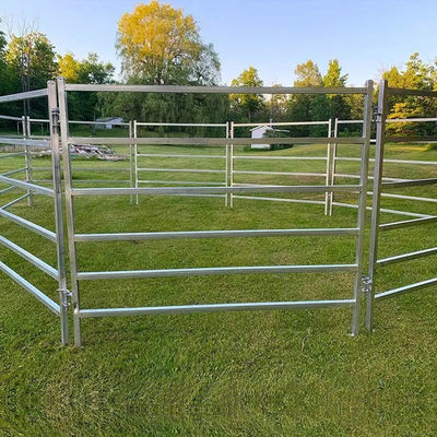 8ft 9.5ft 10ft Metal Livestock Fence Panels Square Tube Cattle Yard Panels