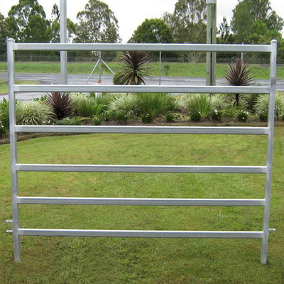 8ft 9.5ft 10ft Metal Livestock Fence Panels Square Tube Cattle Yard Panels