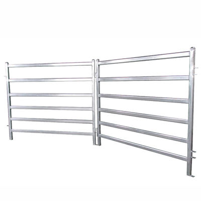12 Ft Powder Coated Animal Fencing Hot Diped Galvanized Steel Pipe