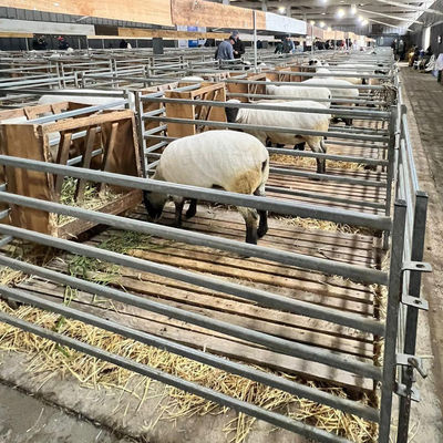 Height 1m Ranch Sheep Panel Fence For Farm Using And Sheep Raising