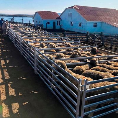 Durable Galvanized Metal Steel Animal Fence Livestock Sheep Panel