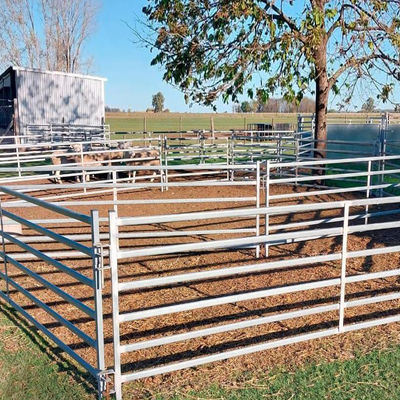 Galvanized Carbon Steel Tube Steel Frame Fence Panels Welding 4ft Height