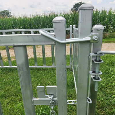 30x60x1.6mm Horizontal Tube Horse Fence Panels For Sale Square Tube