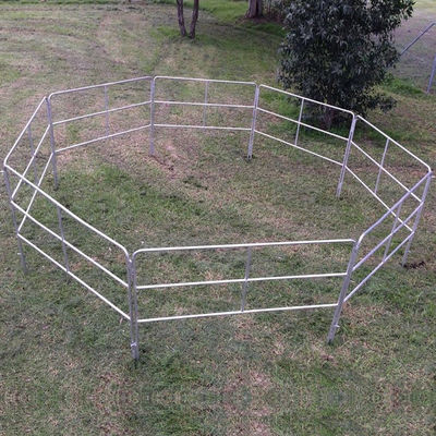 Hot Dipped Galvanized 12 Ft Portable Fence Panels For Horses Heavy Duty Farm Panel