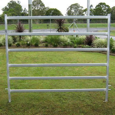 High Galvanized Cattle Panel Yard Fence Long Lasting 6 Ft Livestock Fencing