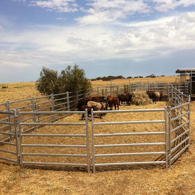 Easy Assembly Portable Cattle Panel  Long Lasting For Farm Customized Color